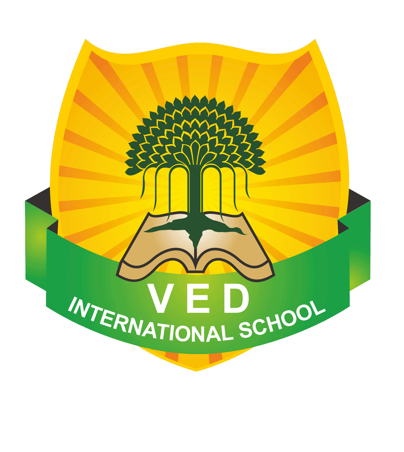VED International School logo
